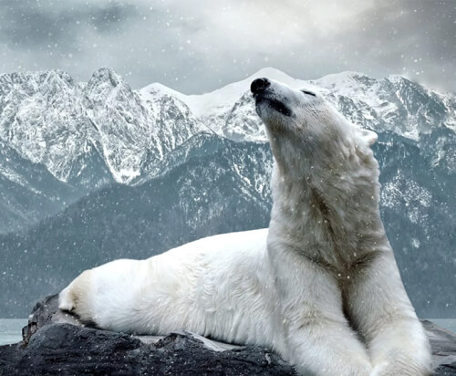 1528 Tower 8 review - Jay’s iyagi | Arendal Sound