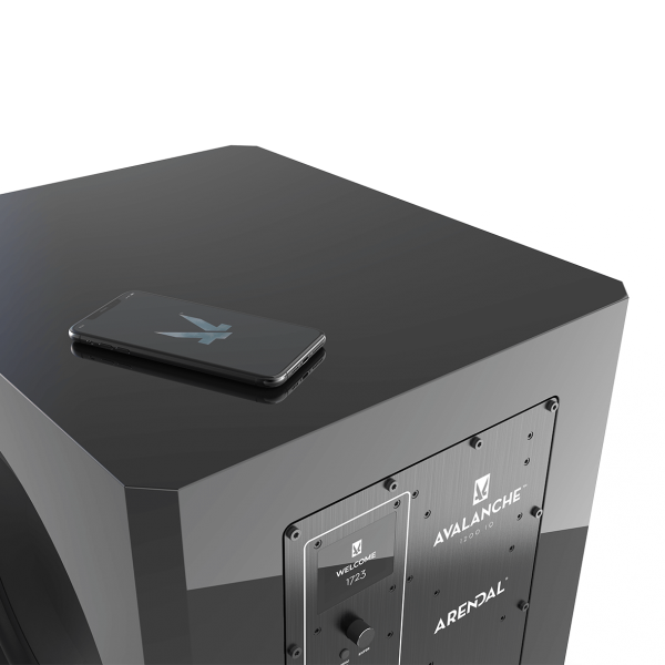 Gallery_1723_Subwoofer_1V_Vertical_13